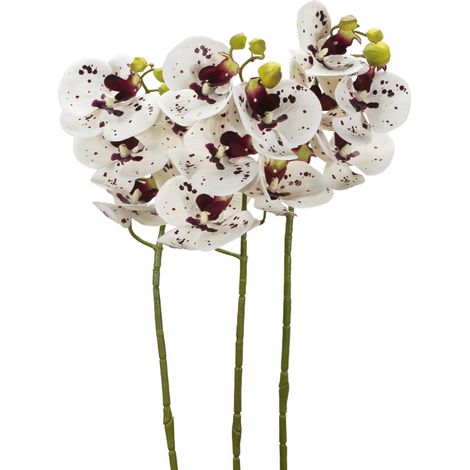 3 Orchidee tropicali Phalaenopsis finte in tessuto inodore - Fiori artificiali con foglie realistiche - Bianco con macchie (1/5)