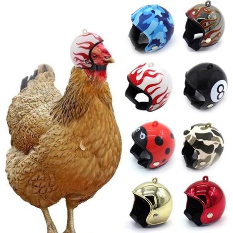 Casque pour poule (lot de 8) - Chapeaux élégants pour poules / Casque de sécurité pour animaux de compagnie / Casque amusant pour perroquet / Accessoires de déguisement pour poules, oiseaux et perruch (1/3)