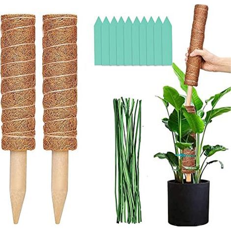 Supporto per Piante Rampicanti da Interno, Supporto in Fibra di Cocco per Monstera, Tutori per Piante 50 Cm, Sostegno per Piante Rampicanti da Interno, Tutore in Muschio e Foglie per Piante, Set da 2 (1/5)