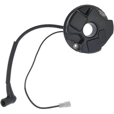 Bobine d'allumage 501831901 pour 265RX 165R 165RX 2100 2101-- (1/5)