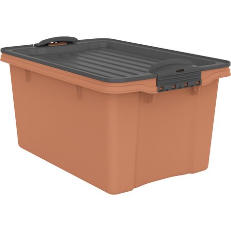 Rotho Aufbewahrungsbox Compact mit Deckel 27 x 18,5 cm 4,5 L clay koralle (1/3)