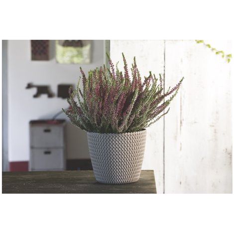 Vaso da fiori color moka Splofy DSP160 Prosperplast
