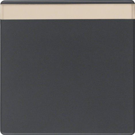 Placca interruttore Berker 16266086 finitura velluto antracite campo etichetta