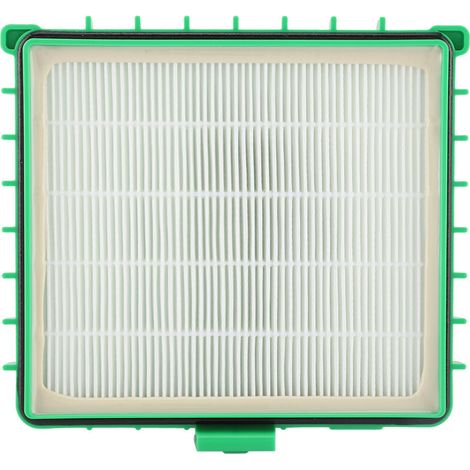 Filtre HEPA pour aspirateur Rowenta Silence Force ZR002901 RO4421 RO4427