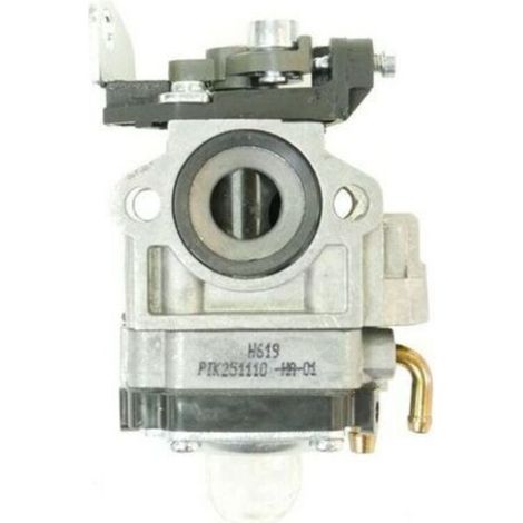 Carburateur débroussailleuse 411286 (1/4)