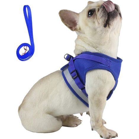 Corde de traction de type gilet pour animaux de compagnie (rouge S) (1/3)