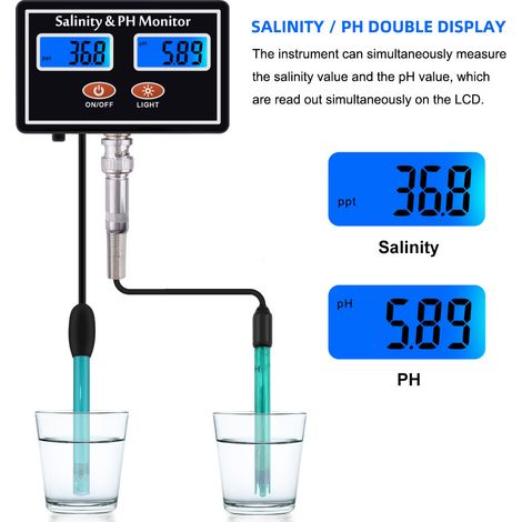 2-in-1 Online-pH- und Salzgehaltsmessgerät für Aquarien und Schwimmbäder (EU 220V) (1/5)