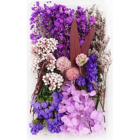 Fiori secchi, fiori secchi naturali, decorazioni con fiori secchi, fiori secchi in resina epossidica per candele fai da te, nail art, artigianato, scrapbooking, decorazioni floreali (viola) (1/4)