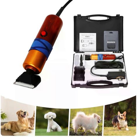 Geräuscharmer, hocheffizienter, professioneller elektrischer Haarschneider mit variabler Geschwindigkeit für Schafe, Hunde, Katzen und andere Haustiere (1/4)
