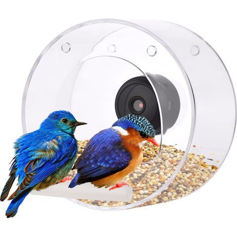 Vogelfutterhaus mit Sichtfenster und Saugnapf für WLAN-Kamera, intelligentes rundes transparentes Futterhaus mit 16-GB-TF-Karte, Foto- und Videoaufnahmefunktion sowie Nachtsicht (1/5)