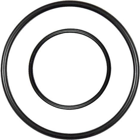 Riegler Ersatzdichtung für Edelstahl-Filter/Filterregler, BG 4 (1/2)