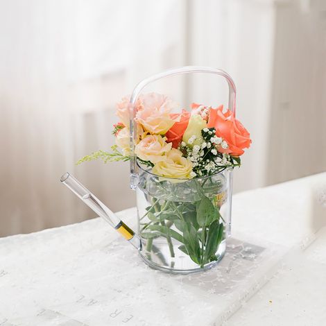 Arrosoir design transparent 1L – Bec long précis, style cylindrique élégant, double usage vase décoratif, idéal jardinage intérieur (1/5)
