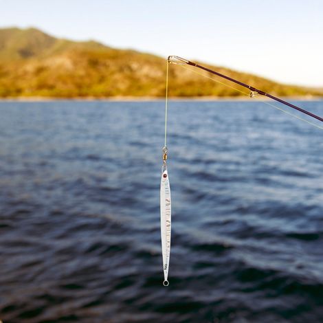 2 Leurres Pêche en Forme de Poisson, Appâts Artificiels Natation Réaliste pour Truite et Brochet
