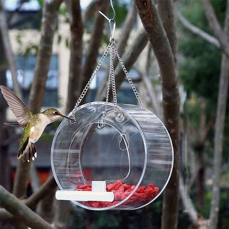 Mangeoire ronde pour oiseaux de 12,5 x 12,5 x 7,5 cm, mangeoire suspendue pour jardin (1/5)