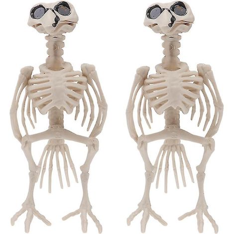 Lot de 2 squelettes de corbeaux pour décorations d'Halloween