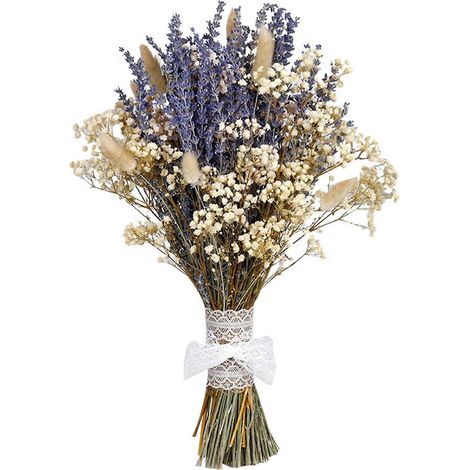 Lavande séchée naturelle (gypsophile) 45 cm pour bouquets de mariage centres de table et décoration intérieure. Multicolore - Queue de lapin lavande (1/5)