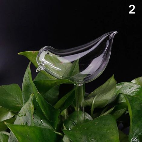 Filiyano-11 types de fleurs en verre à arrosage automatique transparent 2 Transparent 2 (1/5)