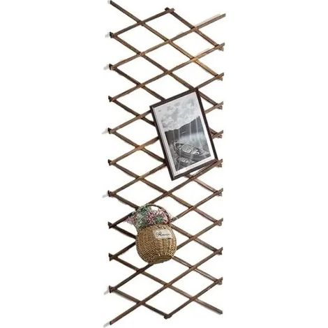 Treillis extensible en bois naturel pour plantes grimpantes (1/5)
