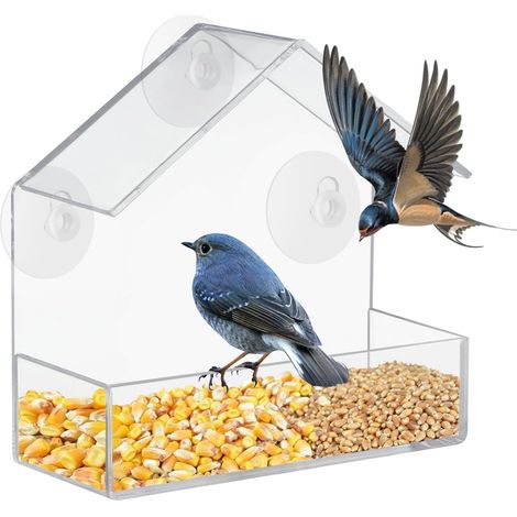Distributeur de mangeoires pour oiseaux de fenêtre - 3 ventouses - 15x15x6cm - mangeoires - acrylique transparent - Mangeoire pour oiseaux