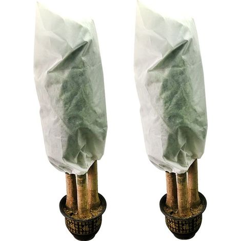 2 Pack Hivernage Plante, Housse Hivernage Plante, Protection Plantes, Housse D’hivernage, Housse De Protection Pour Plantes Housse D'hivernage Réutilisable, 0.6mx0.8m (1/5)