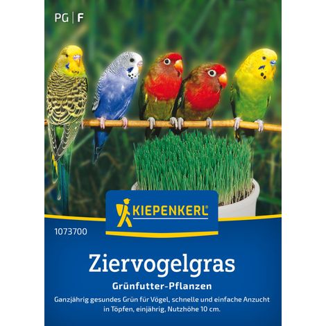 Kiepenkerl Rasensamen Ziervogelgras Frischgrün Mischung für ca. 1 m² (1/2)