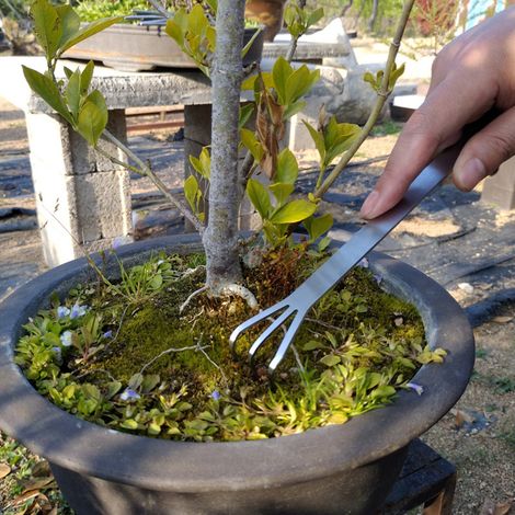 Râteau de jardin à 3 dents en acier inoxydable, poignée ergonomique pour jardinage (1/5)