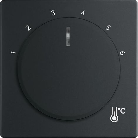 Placca di copertura Busch-Jaeger 1794 r-885 compatibilità dimensioni