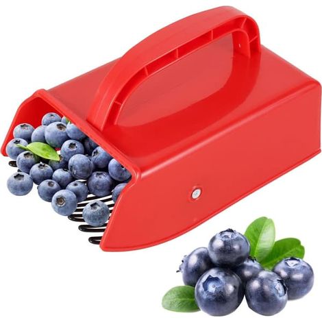 Cueille-myrtilles avec peigne métallique pour cueillir les groseilles, les cassis et autres fruits. (1/3)