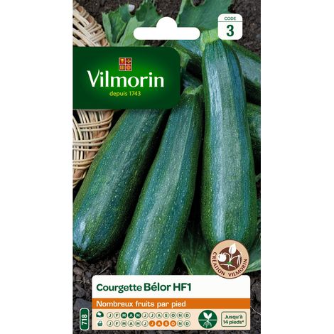 Sachet graines Courgette BELOR HF1 (1/2)