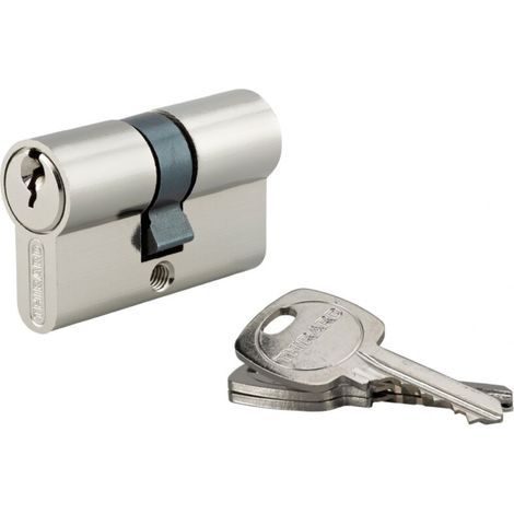 Cylindre de serrure 25x25mm – Protection anti-arrachement – 3 clés fournies – Pour portes de cabanons en bois dur (1/3)