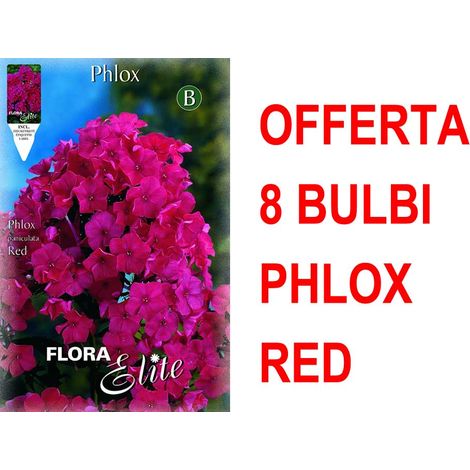 OFFERTA 8 BULBI PHLOX RED BULBS BULBES