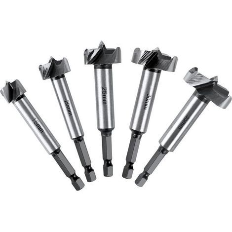 Mèches Bois, Coffret de 5 Fraise Bois Façonner à Poignée Hexagonale Positionnement Ajustable Scie Cloche au Carbure HSS pour Bois Massif, Liège, Attelle, Contreplaqué(15,20,25,30,35mm) (1/4)