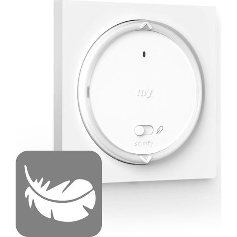 Mando Somfy AMY RS100 iO 1871101