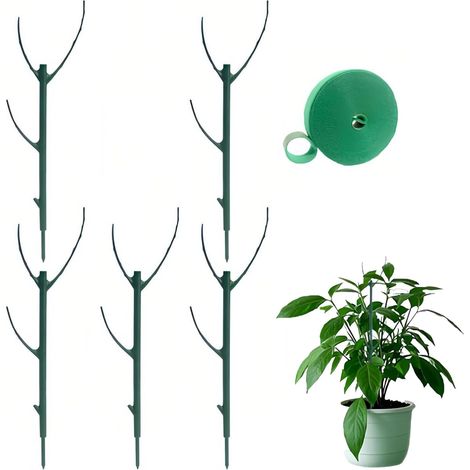 Tuteurs pour Plantes de Jardin,pour Plantes d'intérieur,(5 pièces) (1/5)