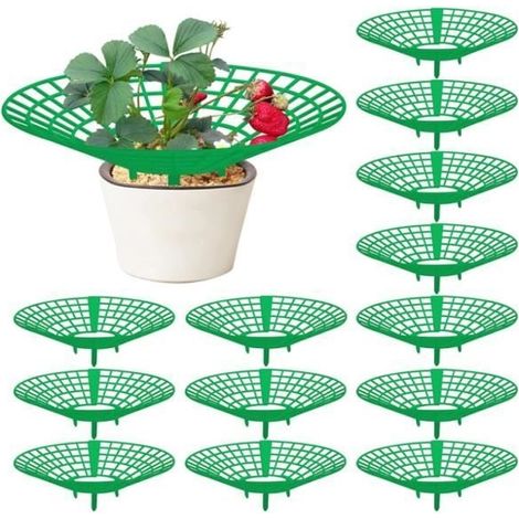 Support de fraisier - Pack de 10 pièces - Facile à assembler - Protection des plants - Culture de fraises (1/4)