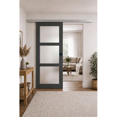 Porte Coulissante Blakeria Ral7016 Vitrée H204 X L83 + Rail Alu Et 2 Coquilles Noir (1/3)
