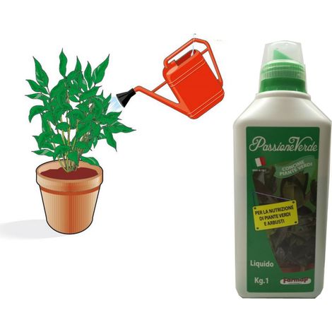 CONCIME LIQUIDO PIANTE VERDI 1 LT GIARDINO -- PZ 22 -- DF 6131901 (1/4)