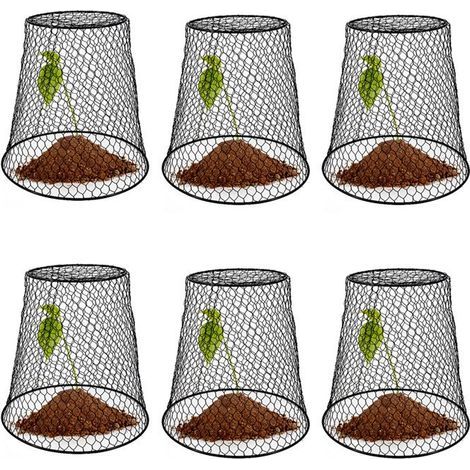 Cloches de Jardin, Chapeaux pour Plantes, Cage de Protection des Plantes avec 10 Piquets de Jardin Protège Les Plantes des Animaux 3 Pièces,Noir (1/3)
