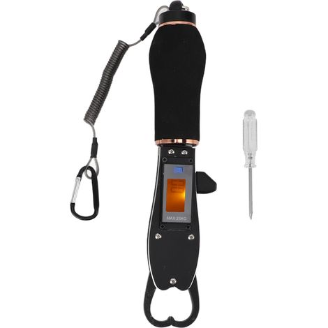 Poignée à lèvres de poisson portable 25kg 5g, pèse-poisson en acier inoxydable avec manche antidérapant en mousse pour pêche en extérieur (1/5)