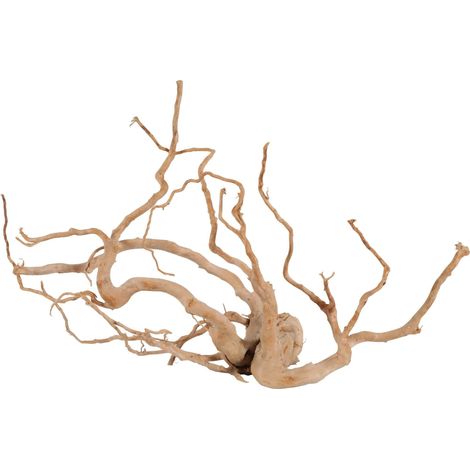 Zolux Radice Araignée Legno Naturale Oltre 60 cm
