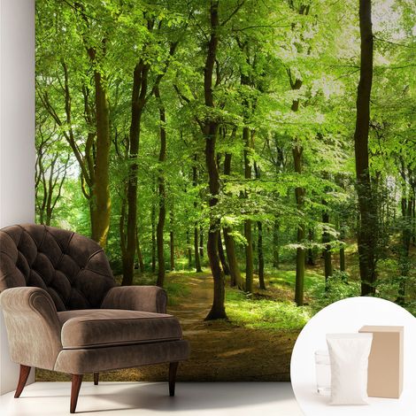 Carta Da Parati - Mural - Con Sala Da Pranzo - Camera Da Letto - Cameretta - Con Colla Gratuita Sentiero naturale 250x250 cm (1/5)