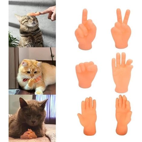 Jouet interactif pour chat - Mini Hands for Cats - Funny Cat Glove Toy - TPR - Intérieur - Jeux (1/4)