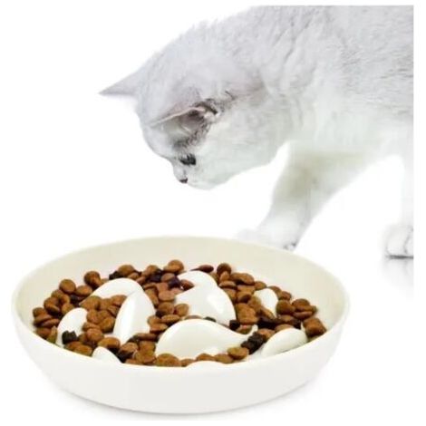 Anti - glouton Cat bowl - round - bol à manger pour animaux de compagnie, bol pour chiens et chats (1/4)