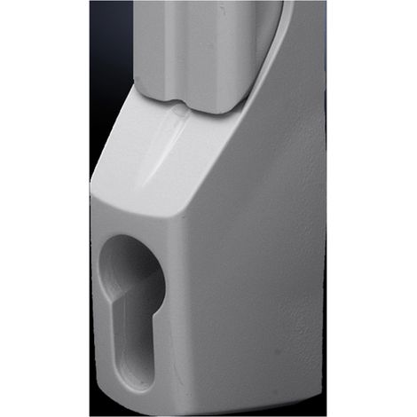 Rittal TS 8611.360 Poignée confort pour serrure demi cylindre noir (RAL 9005) 1 pc(s)