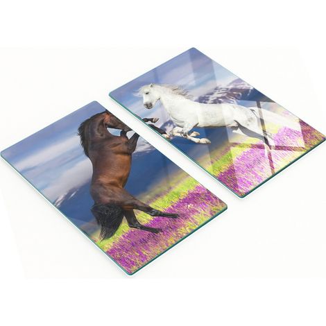 Tablas decorativas de vidrio para servir aperitivos, G贸ry Konskie, 2x30x52 cm
