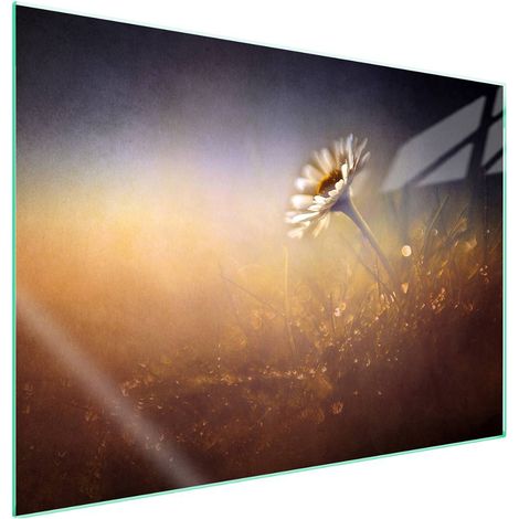 Protection de plaque de cuisson en verre 70x52 cm, motif floral (1/5)