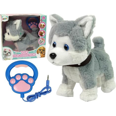 Interaktiver Husky