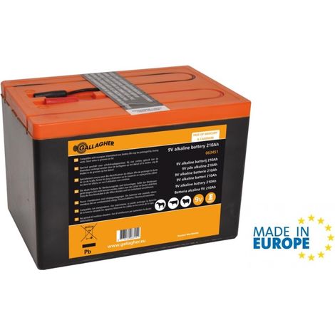 Batteria GGL Alcalina GALLAGHER 9 V/210 Ah per Elettrificatori