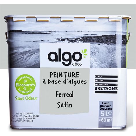 Peinture écologique Algo - Satin - Gris Ferreol - 5L (1/5)