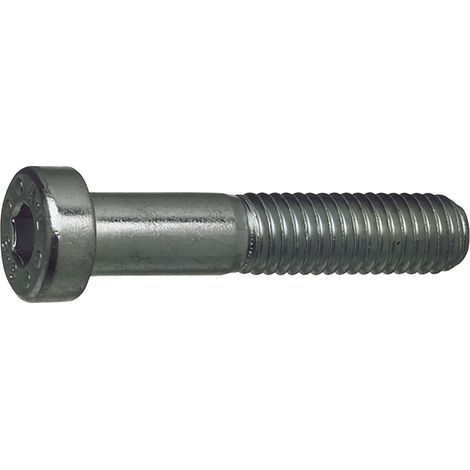 Zylinderschrauben niedriger Kopf M16x 60 Innensechskant DIN7984, Stahl blank - 50 Stück (1/4)